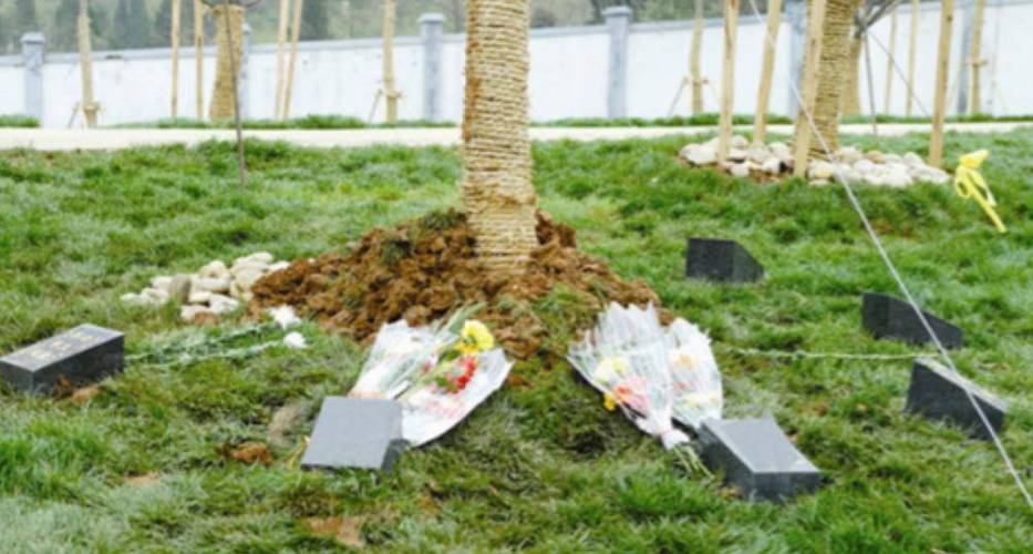 天津市哪有植树葬