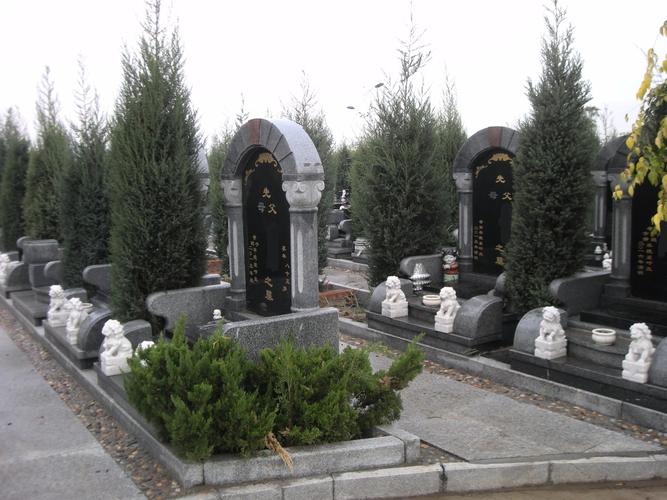 天津宁河植树葬