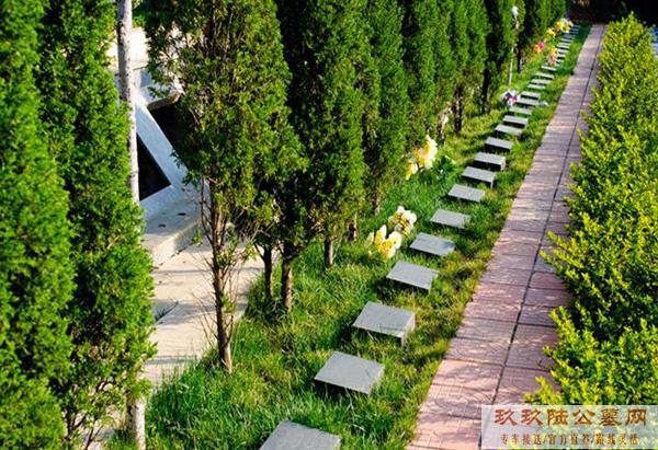 天津哪有植树葬