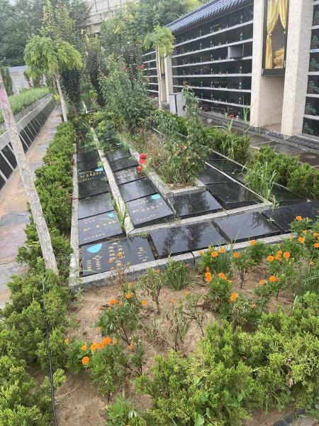 天津植树葬年限